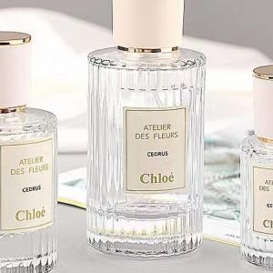 Empty Spot Screw Top Grade Striped 30ml 50ml Vertical Perfume Glass Bottle Pressed Spray Perfume Bottle Manufacturer